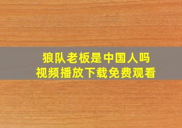 狼队老板是中国人吗视频播放下载免费观看