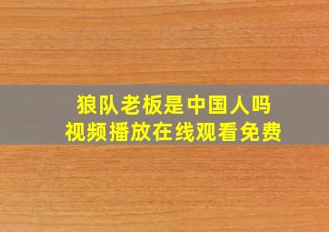 狼队老板是中国人吗视频播放在线观看免费