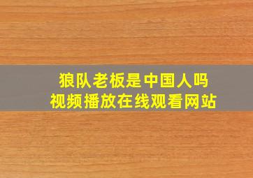 狼队老板是中国人吗视频播放在线观看网站