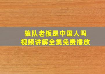 狼队老板是中国人吗视频讲解全集免费播放