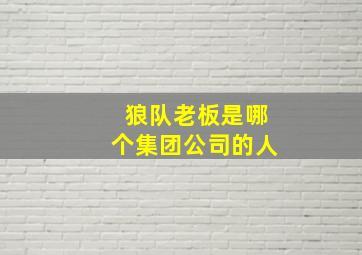 狼队老板是哪个集团公司的人