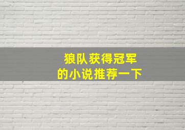 狼队获得冠军的小说推荐一下