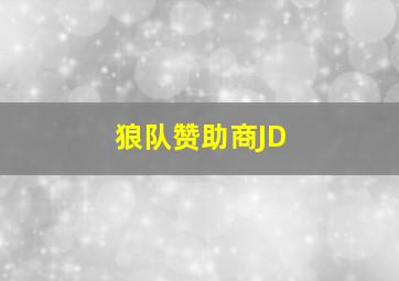 狼队赞助商JD