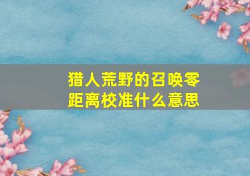 猎人荒野的召唤零距离校准什么意思