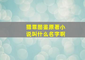 猎罪图鉴原著小说叫什么名字啊