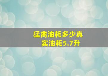 猛禽油耗多少真实油耗5.7升