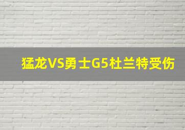 猛龙VS勇士G5杜兰特受伤