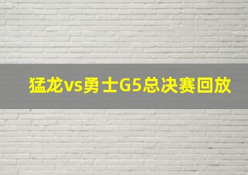 猛龙vs勇士G5总决赛回放