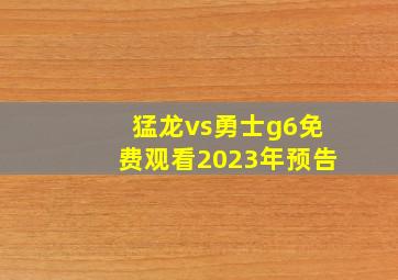 猛龙vs勇士g6免费观看2023年预告