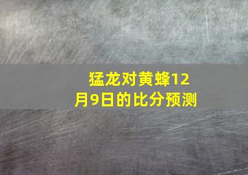 猛龙对黄蜂12月9日的比分预测