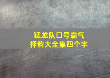 猛龙队口号霸气押韵大全集四个字