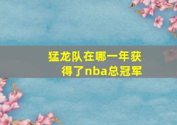 猛龙队在哪一年获得了nba总冠军