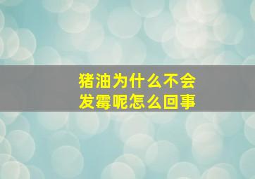 猪油为什么不会发霉呢怎么回事