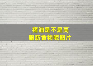 猪油是不是高脂肪食物呢图片