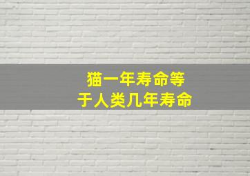 猫一年寿命等于人类几年寿命