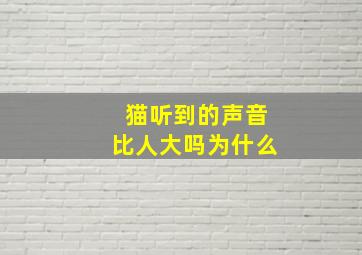 猫听到的声音比人大吗为什么