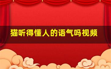 猫听得懂人的语气吗视频