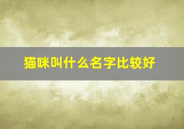 猫咪叫什么名字比较好