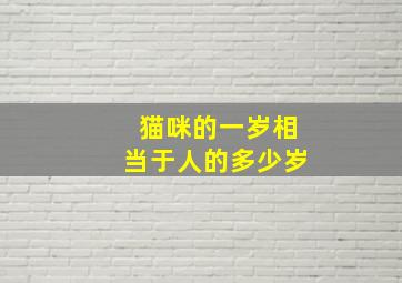 猫咪的一岁相当于人的多少岁