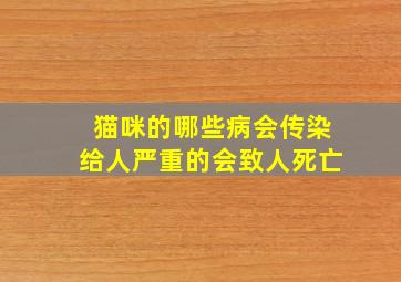 猫咪的哪些病会传染给人严重的会致人死亡