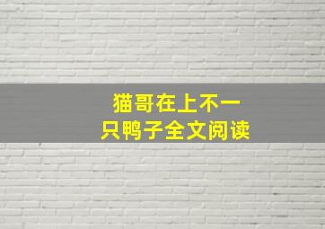 猫哥在上不一只鸭子全文阅读