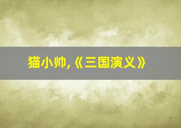 猫小帅,《三国演义》