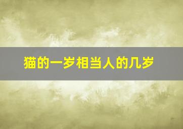 猫的一岁相当人的几岁