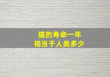 猫的寿命一年相当于人类多少