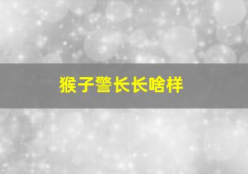 猴子警长长啥样