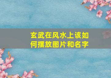 玄武在风水上该如何摆放图片和名字