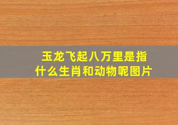 玉龙飞起八万里是指什么生肖和动物呢图片