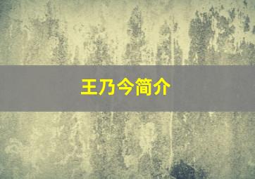 王乃今简介