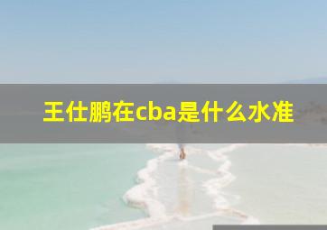 王仕鹏在cba是什么水准