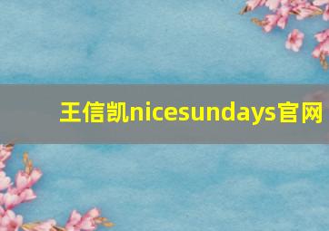 王信凯nicesundays官网