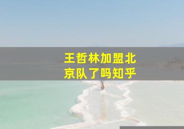 王哲林加盟北京队了吗知乎