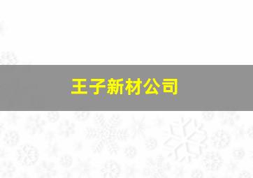 王子新材公司