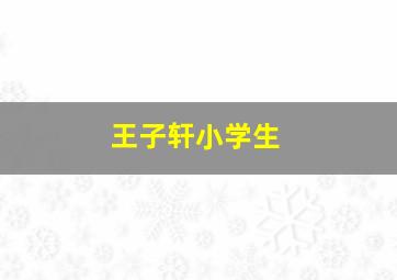 王子轩小学生