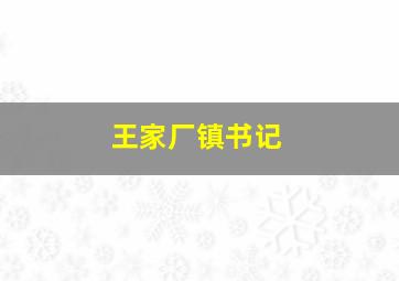 王家厂镇书记