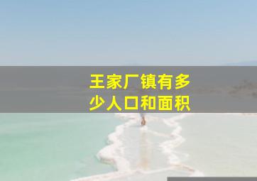 王家厂镇有多少人口和面积