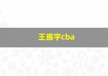 王振宇cba