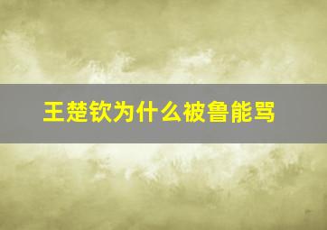 王楚钦为什么被鲁能骂