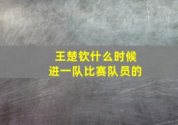 王楚钦什么时候进一队比赛队员的