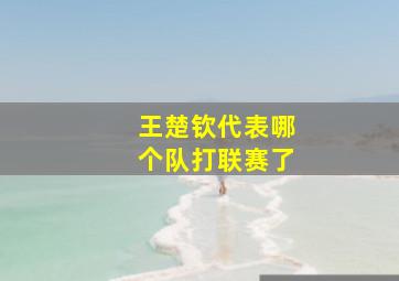 王楚钦代表哪个队打联赛了