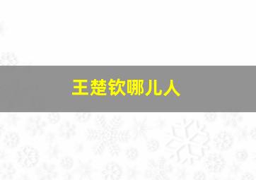 王楚钦哪儿人