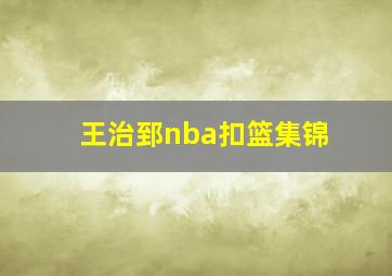 王治郅nba扣篮集锦