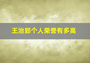 王治郅个人荣誉有多高