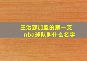 王治郅加盟的第一支nba球队叫什么名字