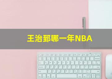 王治郅哪一年NBA