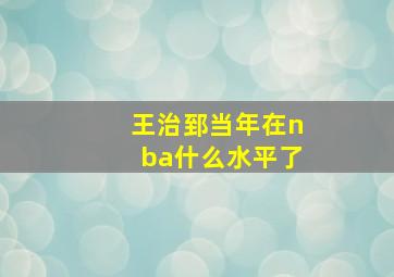 王治郅当年在nba什么水平了