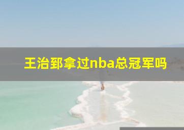 王治郅拿过nba总冠军吗